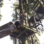 Der Schoene Asten -