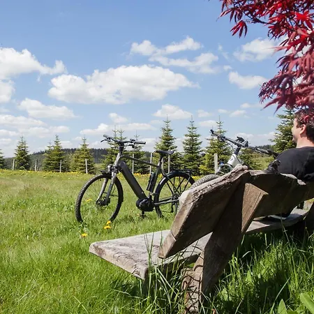 Der Schoene Asten - Отель