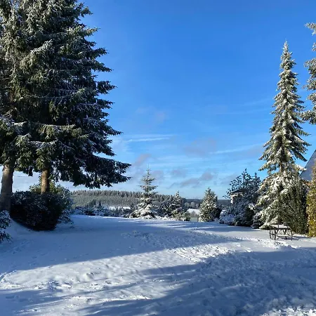 Der Schoene Asten - 3* Винтерберг