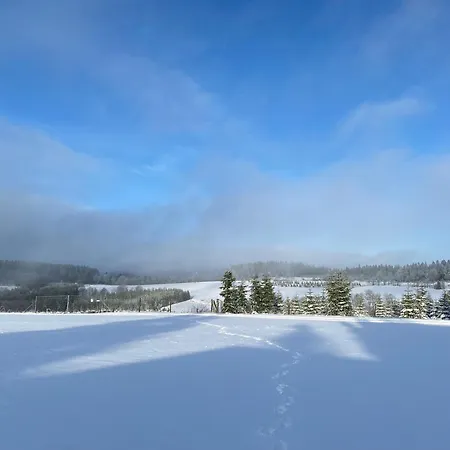 Der Schoene Asten - Отель 3*