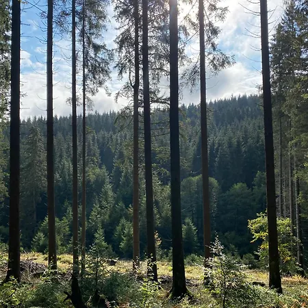 Der Schoene Asten - 3* Винтерберг