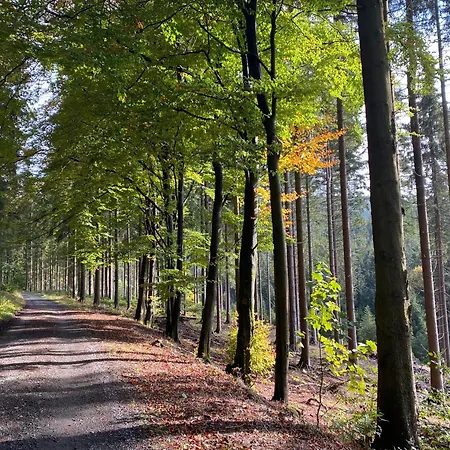 Der Schoene Asten - Отель Винтерберг
