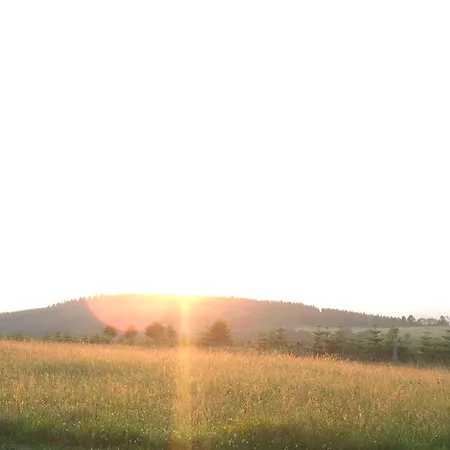 Der Schoene Asten - Отель 3*