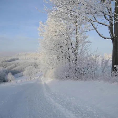 فندق Der Schoene Asten - وينتربرغ