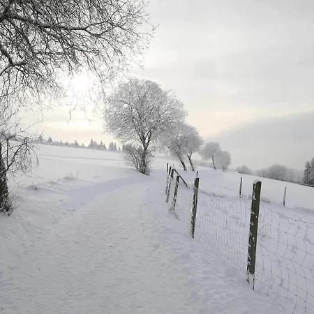 Отель Der Schoene Asten -