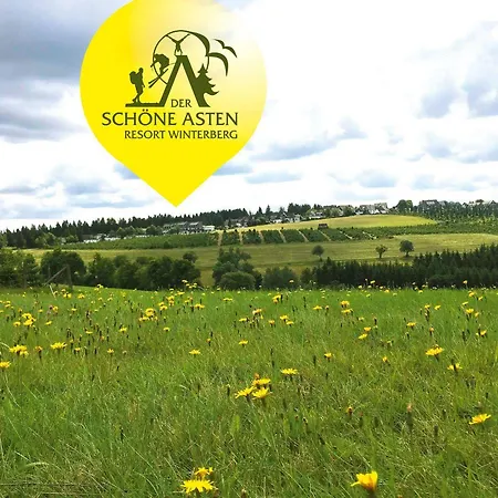 Hotel Der Schoene Asten -