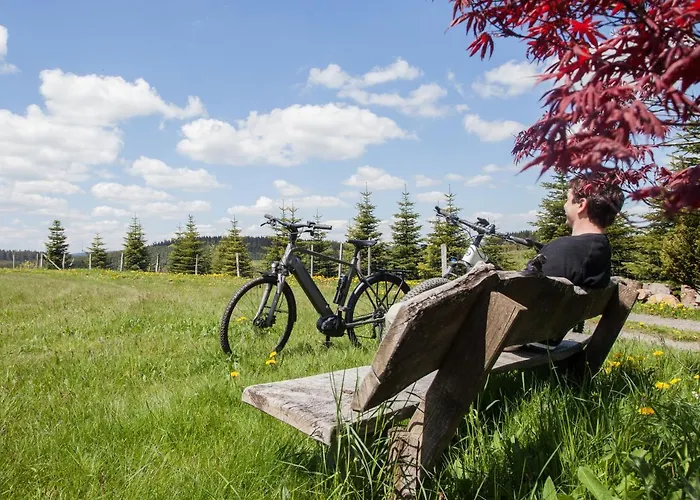 Der Schoene Asten - Otel
