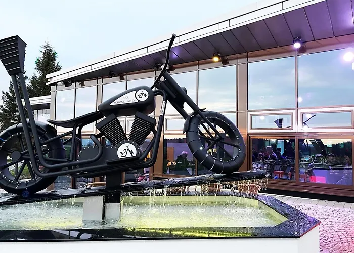 Der Schoene Asten - Hotel 3*