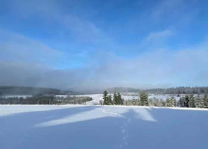 Der Schoene Asten - Hotel 3*