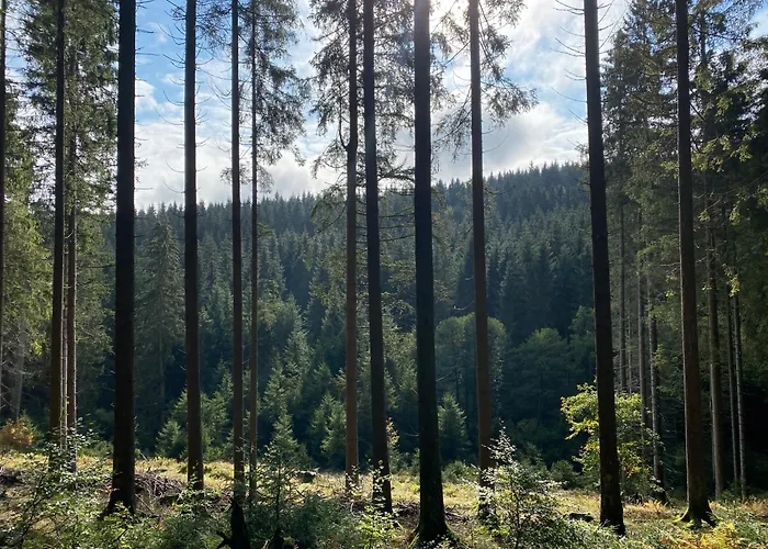 Der Schoene Asten - 3* Winterberg