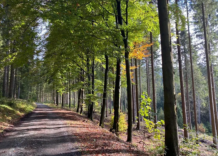 Der Schoene Asten - Hotel Winterberg