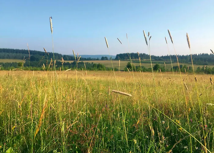 Der Schoene Asten - Otel Winterberg