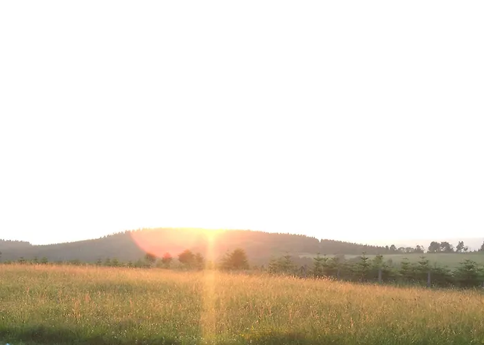 Der Schoene Asten - Otel 3*