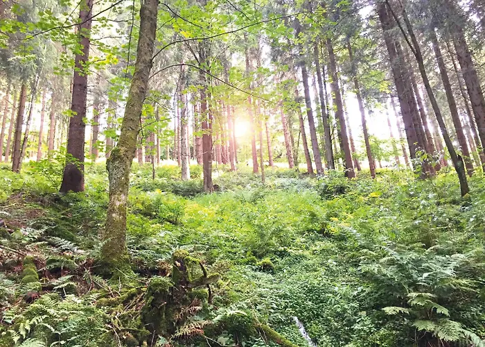 Der Schoene Asten - 3*