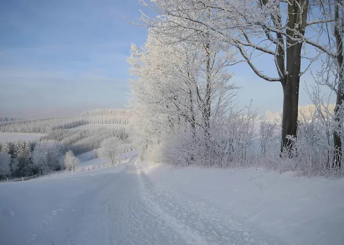 Hotel Der Schoene Asten - Winterberg